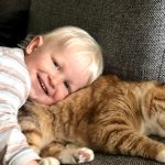 Persóna og notendasaga