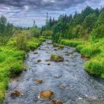 Grundvallaratriði vefmiðlunar